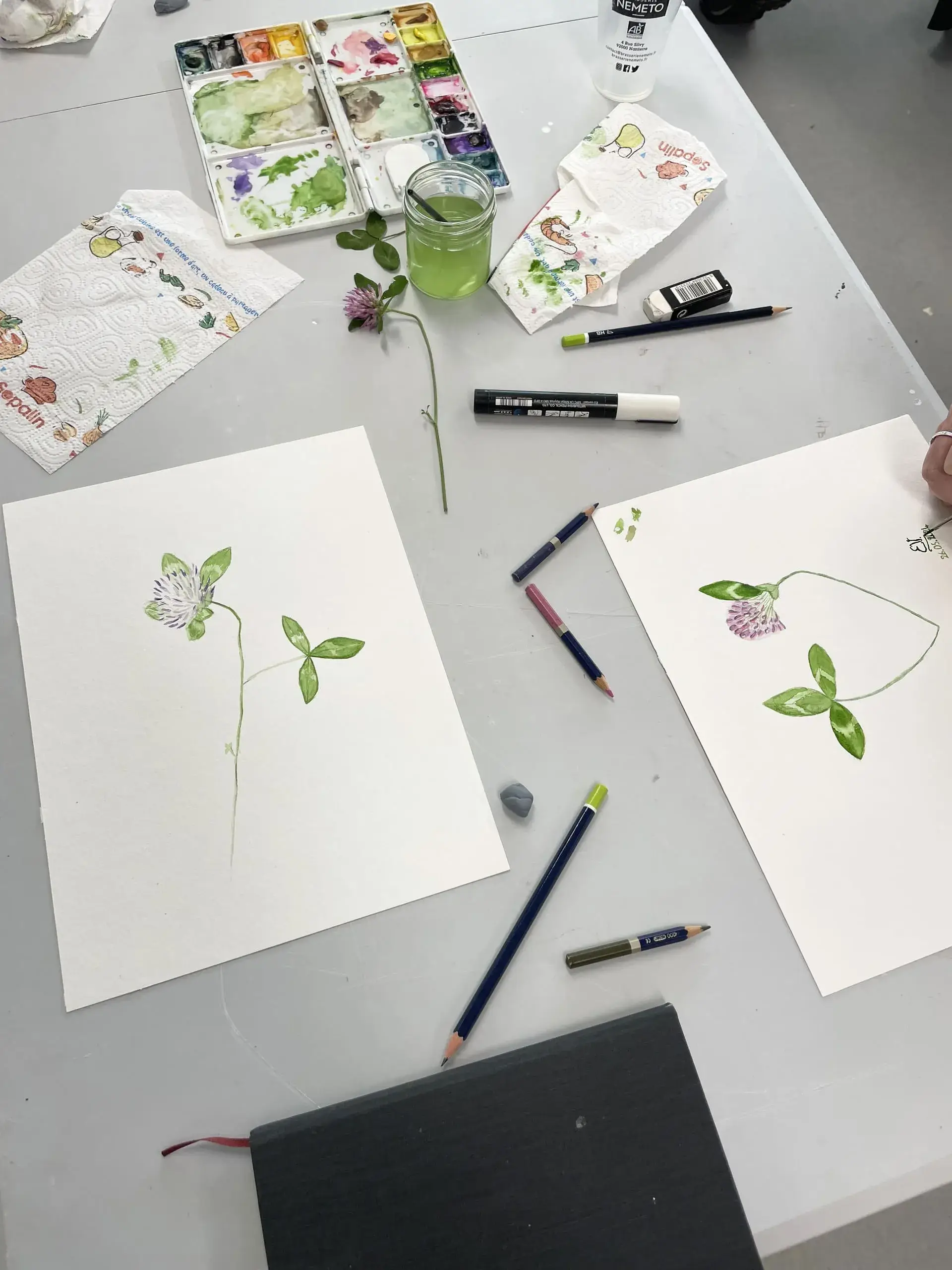 Cours d'aquarelle d'observation de plantes sauvages