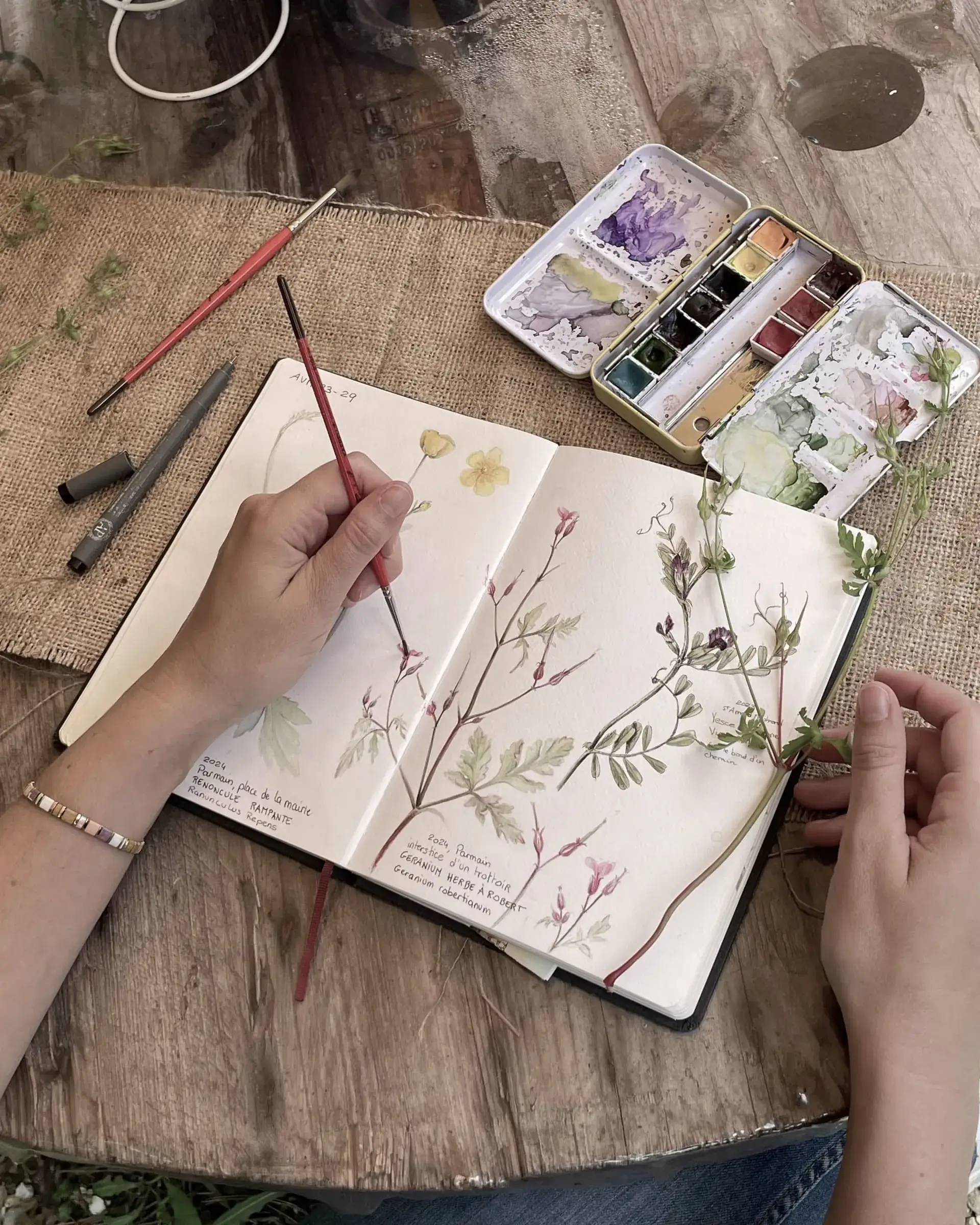 Etude d'une fleur